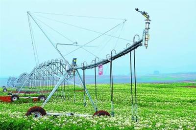 强化农业科技创新与应用 推进现代种业科技支撑与水果种植提质增效