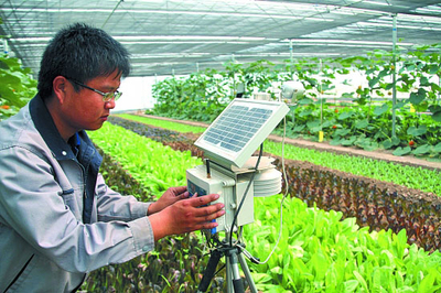 农业技术在水果种植中的创新应用与发展前景