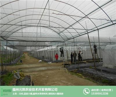 福建塑料温室大棚造价解析及水果种植应用——以福州元凯温室大棚为例