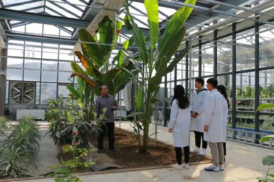 百尺高梧,撑得起一轮月色;数椽矮屋,锁不住午夜书声——从水果种植看高考精神