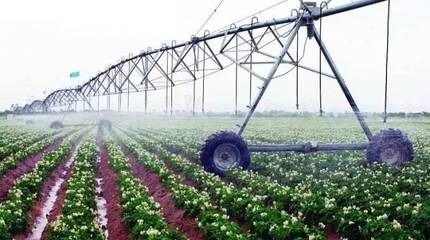 是什么让「水深火热」的以色列成为第二个硅谷？——从水果种植到科技创新的启示